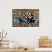 Poster Loupe de mer ensoleillée (Cuisine)