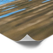 Poster Loupe de mer ensoleillée (Coin)