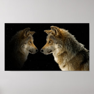 Poster Loups