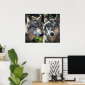 Poster Loups gris en pleine nature (Bureau à domicile)