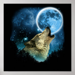 Poster Loups gris Skylight 2