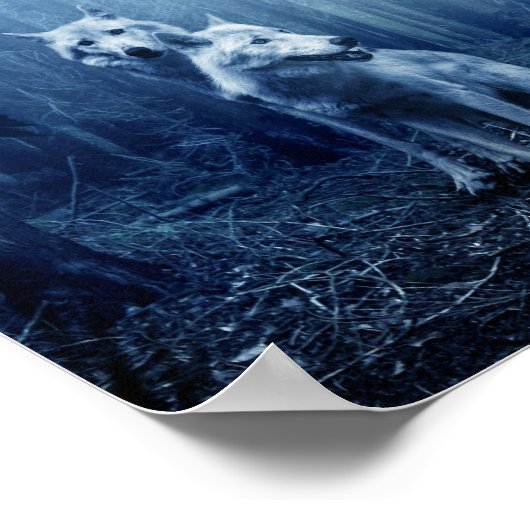 Poster Loups Twilight (Coin)