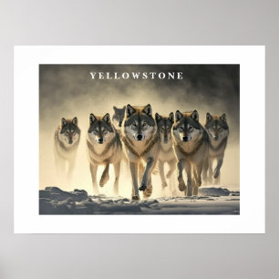 Poster Loups Yellowstone