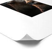 Poster Loups Yellowstone (Coin)