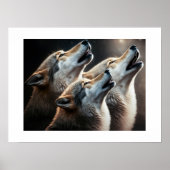 Poster Loups Yellowstone (Devant)