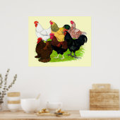 Poster Lourd ajout de coq (Cuisine)