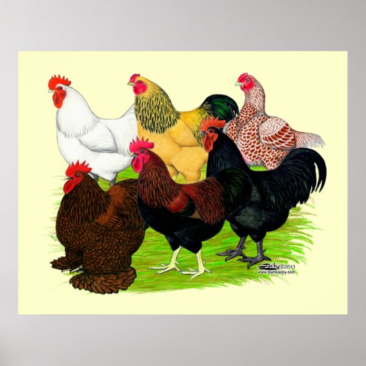 Poster Lourd ajout de coq (Devant)