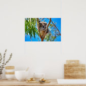 Poster L'ours de Koala (Cuisine)