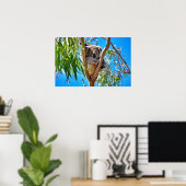 Poster L'ours de Koala (Bureau à domicile)