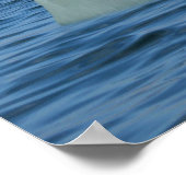 Poster L'ours mange de la glace crème (Coin)