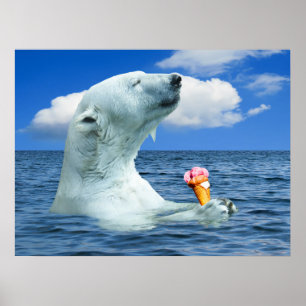 Poster L'ours mange de la glace crème
