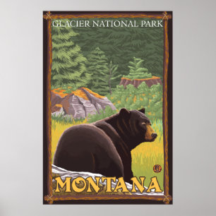 Poster L'ours noir en forêt - Parc national des Glaciers