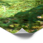 Poster L'ours noir "Scène" (Coin)