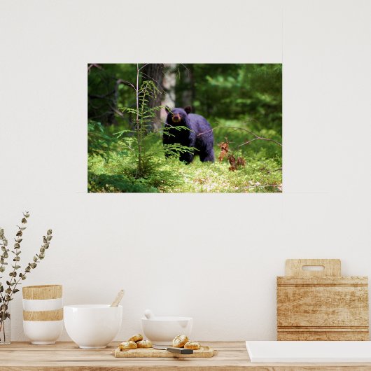 Poster L'ours noir "Scène" (Cuisine)