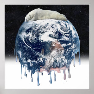 Poster L'ourson polaire de la Terre