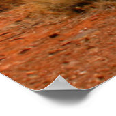Poster L'Outback australien (Coin)