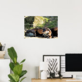 POSTER LOUTRES (Bureau à domicile)