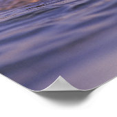 Poster Loutres de mer, Enhydra lutris (Coin)