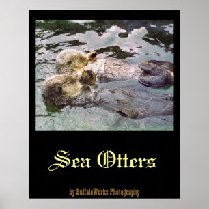 Poster Loutres de mer se tenant la main