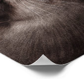 Poster Loutres peintes à la main - Tender Moment Faune Ar (Coin)