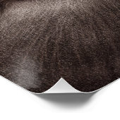 Poster Loutres peintes à la main - Tender Moment Faune Ar (Coin)