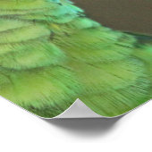 Poster Love forever (Coin)