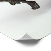 Poster Love Fueing, 1881 (Coin)