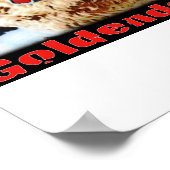 Poster Love Goldendoodles (Coin)