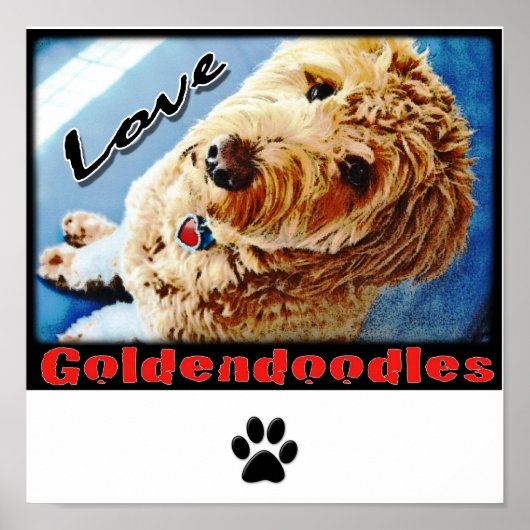 Poster Love Goldendoodles (Devant)