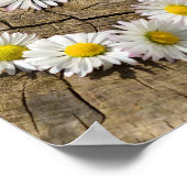 Poster Love Heart Daisies (Coin)