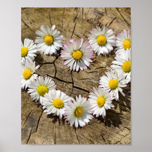 Poster Love Heart Daisies (Devant)