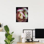 Poster <Love is a Rose>par Nathan Griffith (Bureau à domicile)