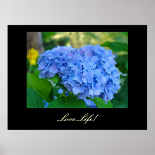 Poster Love Life! art imprime Blue Hydrangea Floral art