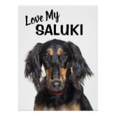 Poster Love My Saluki Portrait (Devant)