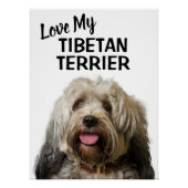 Poster Love My Tibetan Terrier Portrait (Devant)