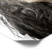 Poster Love My Tibetan Terrier Portrait (Coin)