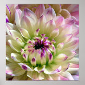 Poster Love Spreading_Poster (Devant)