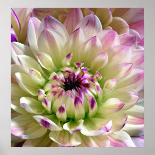 Poster Love Spreading_Poster