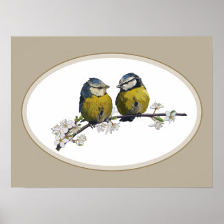 Poster Lovebirds assis sur une branche de fleurs de ceris