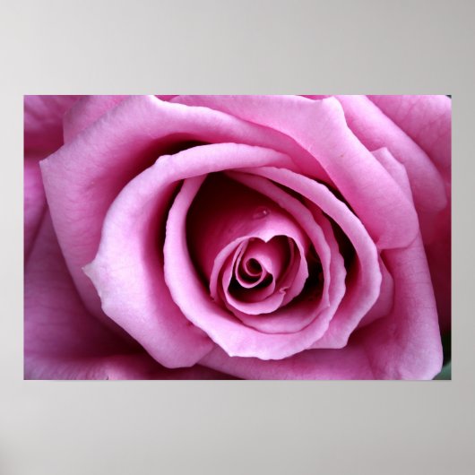 Poster Lovely in lilac (Devant)