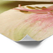 Poster Lovely Lily (Coin)