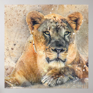 Poster Lovely Lioness Photographie Aquarelle moderne