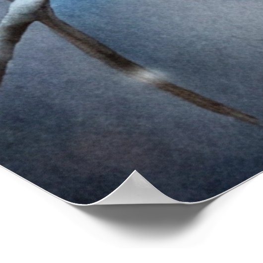 Poster Lovely Owl (Coin)