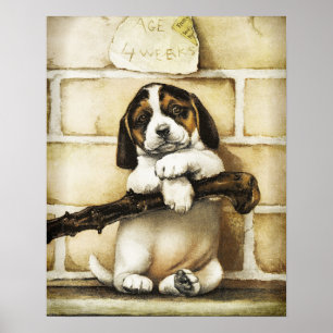 Poster Lovely Puppy
