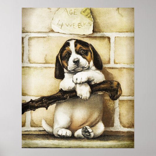 Poster Lovely Puppy (Devant)