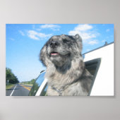 Poster Lovin' Life (Devant)