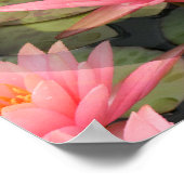 Poster Lovin' Lilies.... (Coin)