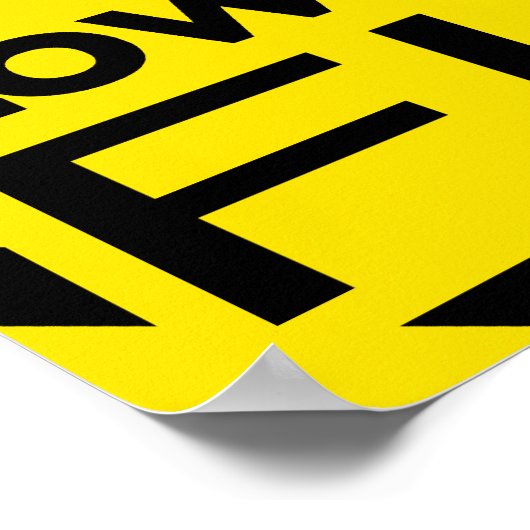 Poster "Low Flying Fish" (Coin)