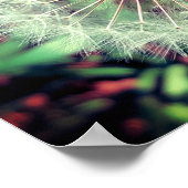 Poster Löwenzahn (Coin)