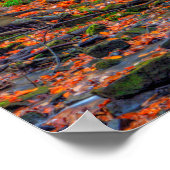 Poster Lower Dundee Falls, Beach City Wilderness Area, OH (Coin)